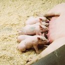 오늘푸드