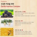 힐렉스 포맨 스킨 토너 & 로션, 멀티플 버터 후기