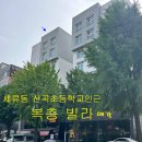 신곡초교 이미지