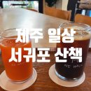 손세차하기좋은날