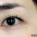 벨르뮤광주북구점눈썹&속눈썹 이미지