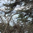 LG25 영도대교점 | 부산 영도 여행, 태종대&amp;흰여울마을 방문 후기