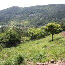 석림조경