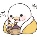 돼지나라갈매기꿈 이미지