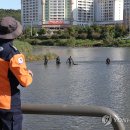 중랑천 이미지