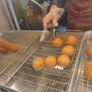 하트찹쌀꽈배기