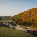 샤인데일 골프&리조트 이미지