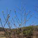 주초농장 이미지