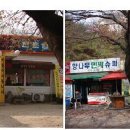 향나무민박