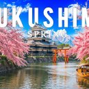 Spring Fukushima 4K, Japan Walking Through Hanamiyama Park &amp; Sakura-Lined 이미지