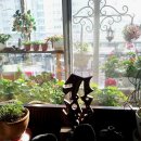 행복에너지충전소 이미지