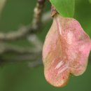 목기장 박수태 이미지