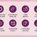 헬시오