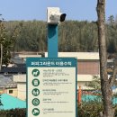퍼피그라운드