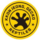 꼰정게코