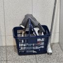 몸을짓다