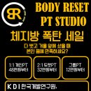 리셋세종 이미지