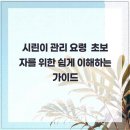서울뿌리튼튼치과의원 이미지