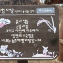 신천자연 네이버블로그