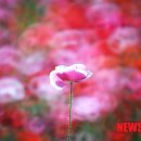 하남유니온타워 1층 이미지