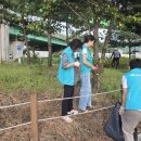 광남1동-9 이미지