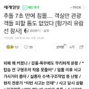 추돌 7초 만에 침몰… 객실안 관광객들 피할 틈도 없었다 [헝가리 유람선 참사] 이미지