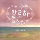 알로하