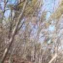 이화산등산로 이미지