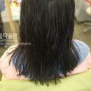 아름다울련 네이버블로그