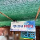 도도버드 | 거제도체험 동물원 버드 앤 피쉬
