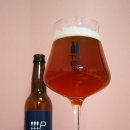 피씨엠(PCM) 이미지