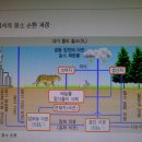 질소의 순환과 식물의 질소 동화작용 이미지