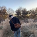 피키래빗 이미지