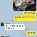 초심피티 이미지