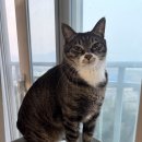 망포우리약국 | 나홀로 주간일기