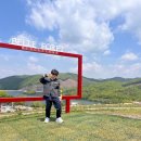 증평 / 증평패스투어 / 벨포레 / 공기총사격 / 인삼 / 족욕카페 / 아이와 함께