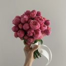 W9. 가성비 촬영 부케 추천 :: 컨셉바이헤넴 장미 부케 계약 후기 (짝꿍 구해요!)