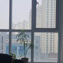 스튜디오흐름 네이버블로그
