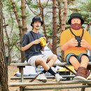 에프앤에프(F&F)캠핑