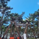 [공지] 아이들과 편하게 맛보고 즐기고 온 변산 고사포 야영장 하우스25번 / 갯벌체험 후기