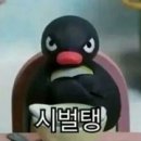 국민솥뚜껑생고기
