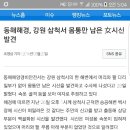 내기준 최악의 살인사건? 그런사건은 삼척..여성사체발견된거.. 이미지