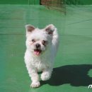 (주)청아 이미지