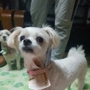 쏨헤어