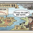 코스피아 네이버블로그