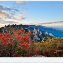 가을여행 이미지