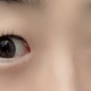 정성 아이래쉬