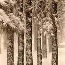 포토갤러리 이미지