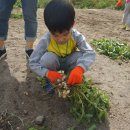 덕수농원 이미지