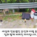 탄천주차장 이미지